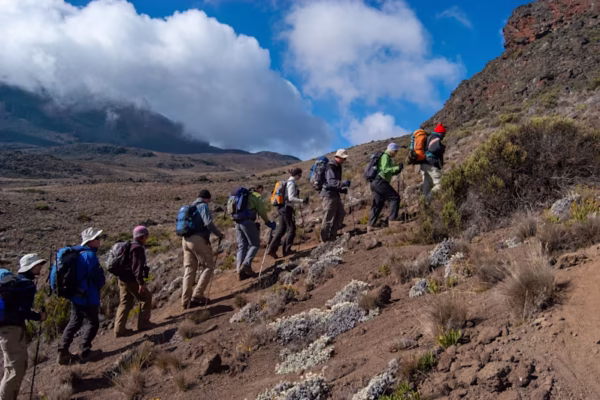 The Rongai route on Kilimanjaro