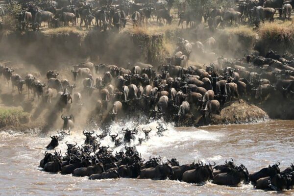 3-Day Great Migration Serengeti 3-Day Great Migration Serengeti