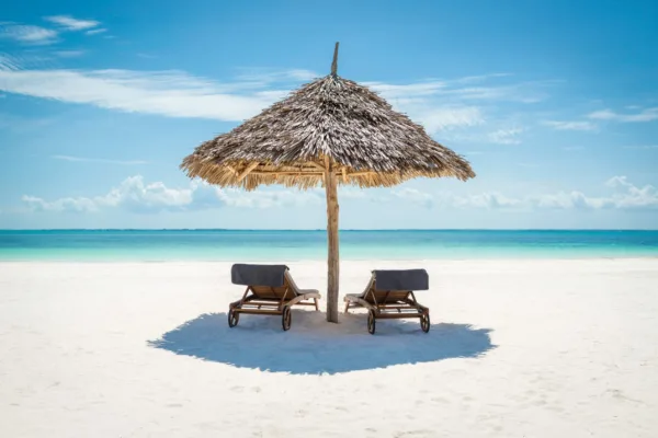 Great Migration and Zanzibar Beach Great Migration and Zanzibar Beach